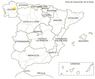 Jamón gran reserva con vetas elegantes