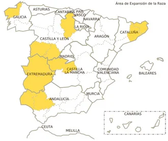 Jamón gran reserva con vetas elegantes