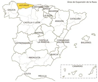 Jamón gran reserva con vetas elegantes