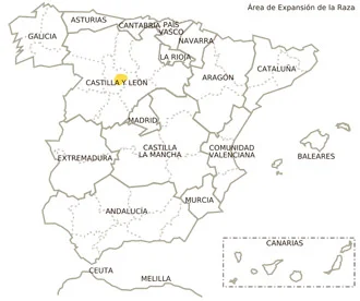 Jamón gran reserva con vetas elegantes