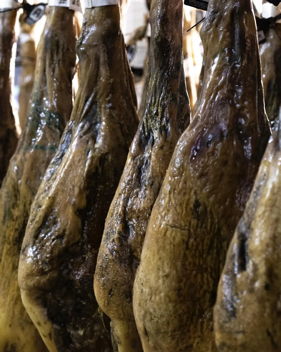 Selección de jamones y embutidos