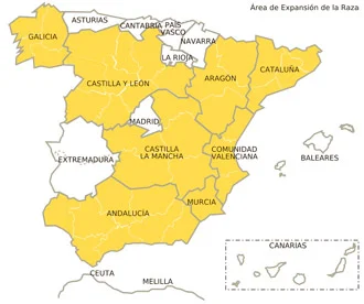 Jamón gran reserva con vetas elegantes