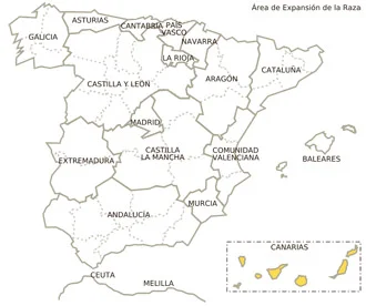 Jamón gran reserva con vetas elegantes